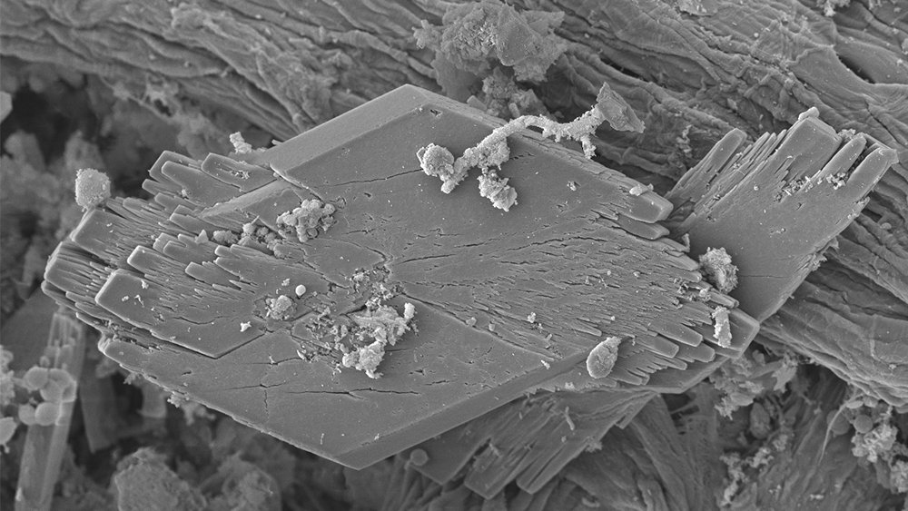 Gallery - compost tea thumbnail image