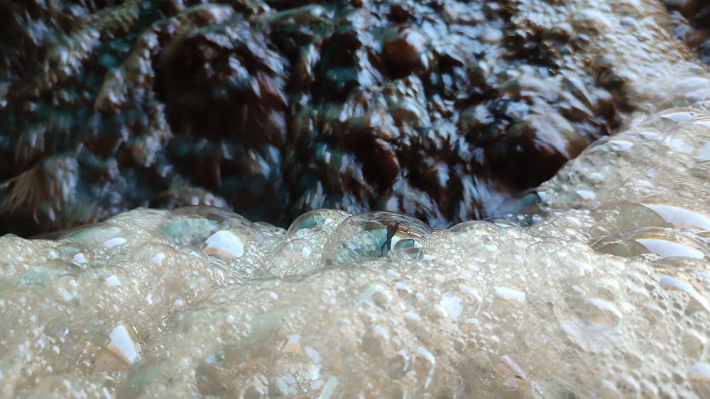 Gallery - compost tea thumbnail image