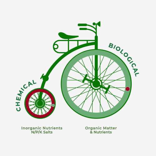 NEM - Nutrient Cycle animation